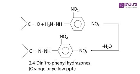 2 4 dnph test.